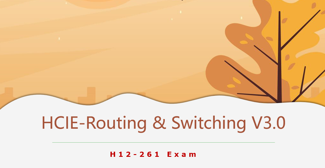 HCIE-Routing & Switching V3.0