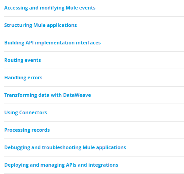 MuleSoft MCD Level 1 Delta Exam Topics