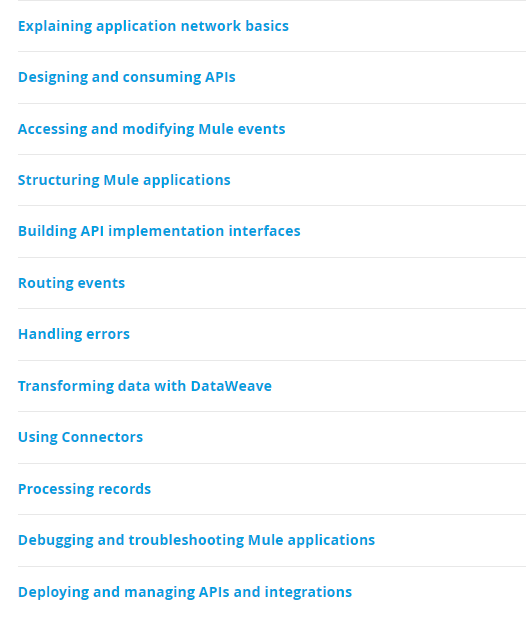 MCD-Level 1 MuleSoft Certified Developer Topics